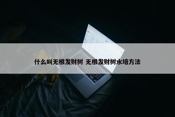 什么叫无根发财树 无根发财树水培方法