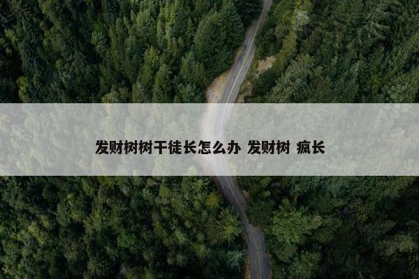 发财树树干徒长怎么办 发财树 疯长