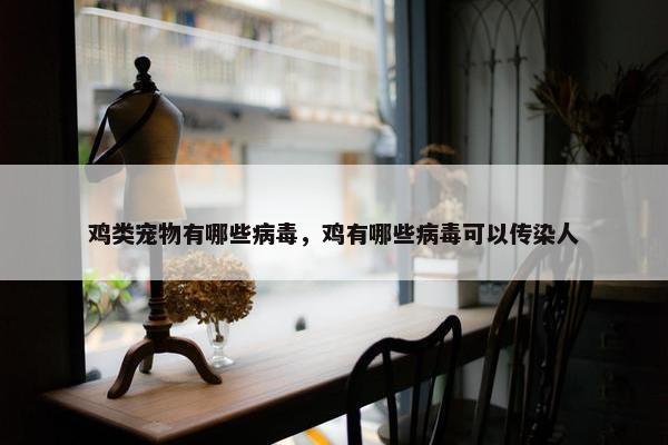 鸡类宠物有哪些病毒，鸡有哪些病毒可以传染人