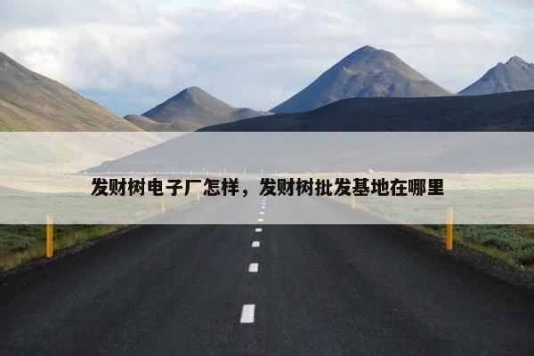 发财树电子厂怎样，发财树批发基地在哪里