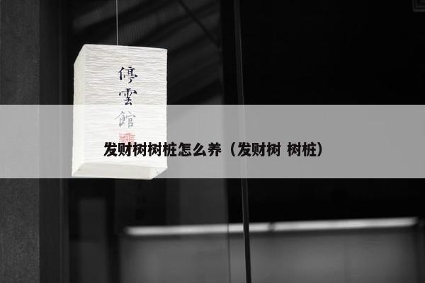 发财树树桩怎么养（发财树 树桩）