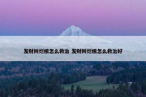 发财树烂根怎么救治 发财树烂根怎么救治好