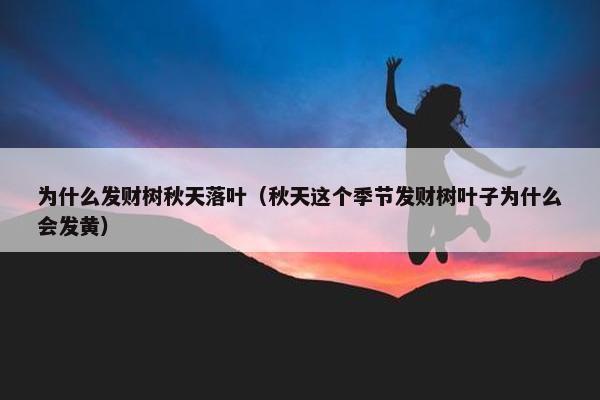 为什么发财树秋天落叶（秋天这个季节发财树叶子为什么会发黄）