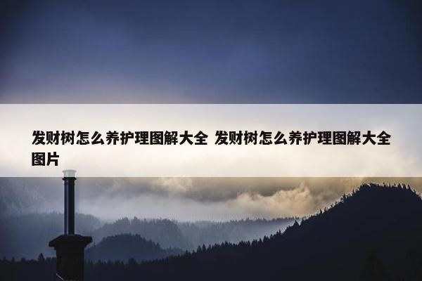 发财树怎么养护理图解大全 发财树怎么养护理图解大全图片