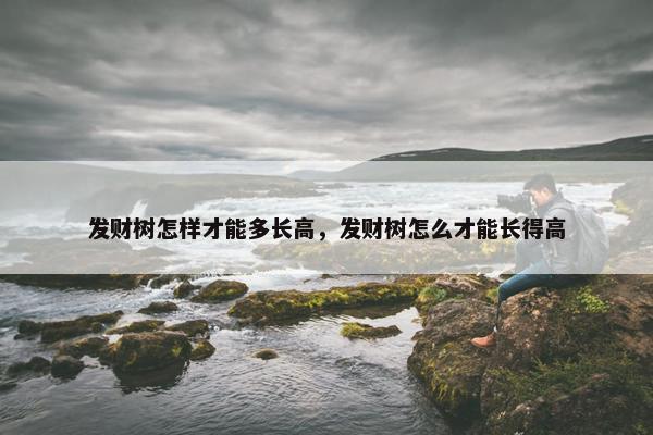 发财树怎样才能多长高，发财树怎么才能长得高