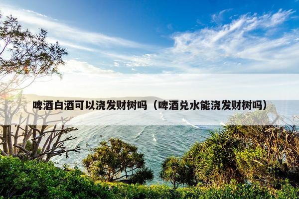 啤酒白酒可以浇发财树吗（啤酒兑水能浇发财树吗）