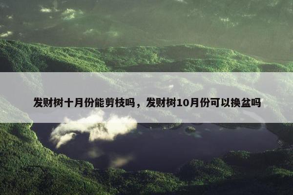 发财树十月份能剪枝吗，发财树10月份可以换盆吗