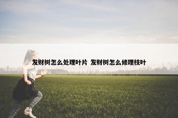 发财树怎么处理叶片 发财树怎么修理枝叶