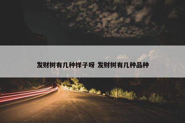 发财树有几种样子呀 发财树有几种品种