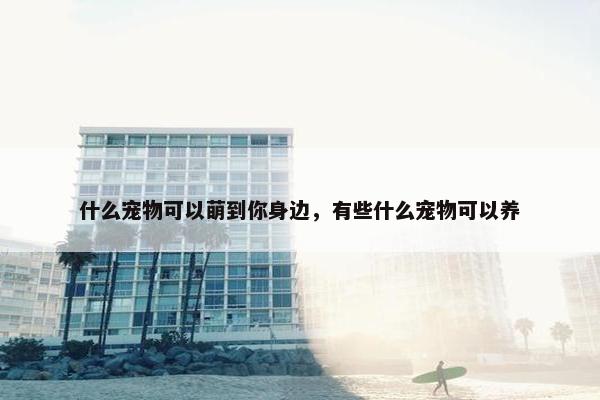 什么宠物可以萌到你身边，有些什么宠物可以养