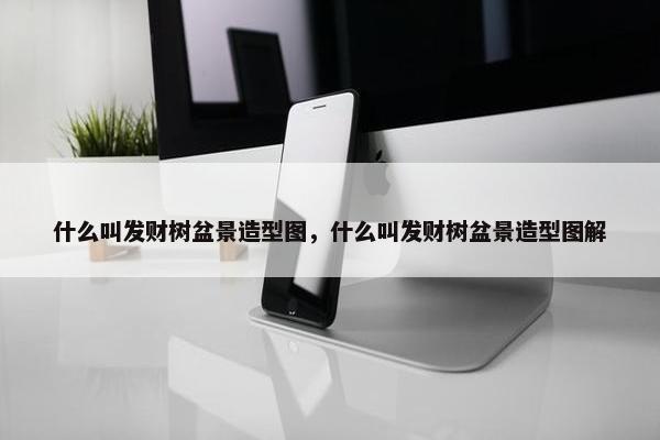 什么叫发财树盆景造型图，什么叫发财树盆景造型图解