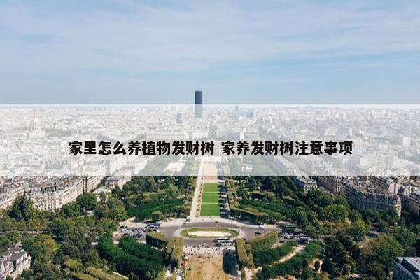 家里怎么养植物发财树 家养发财树注意事项