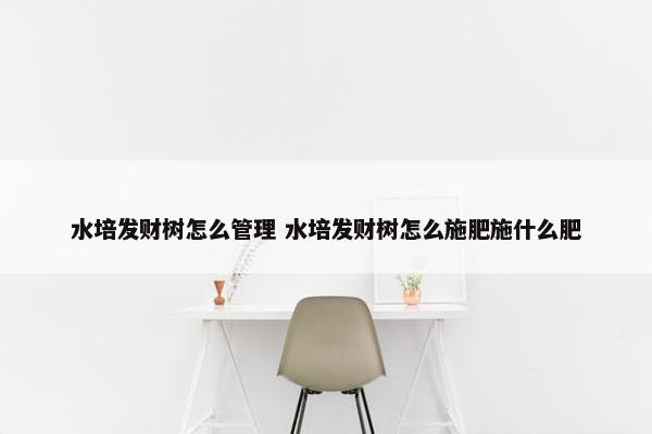 水培发财树怎么管理 水培发财树怎么施肥施什么肥