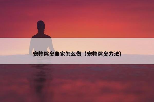 宠物除臭自家怎么做（宠物除臭方法）