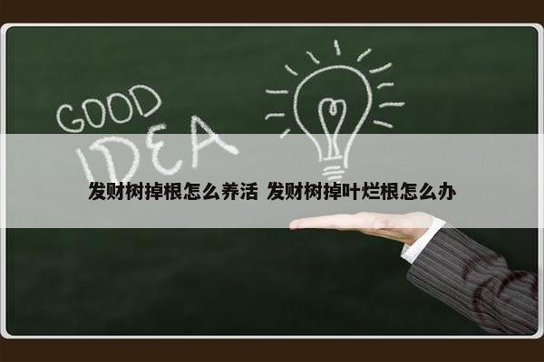 发财树掉根怎么养活 发财树掉叶烂根怎么办