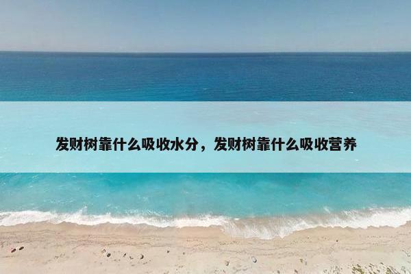 发财树靠什么吸收水分，发财树靠什么吸收营养