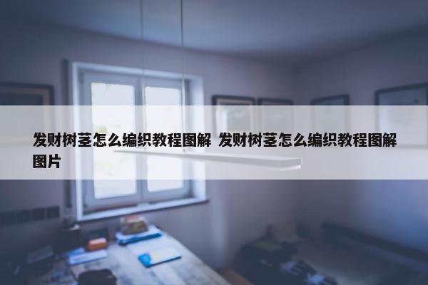 发财树茎怎么编织教程图解 发财树茎怎么编织教程图解图片