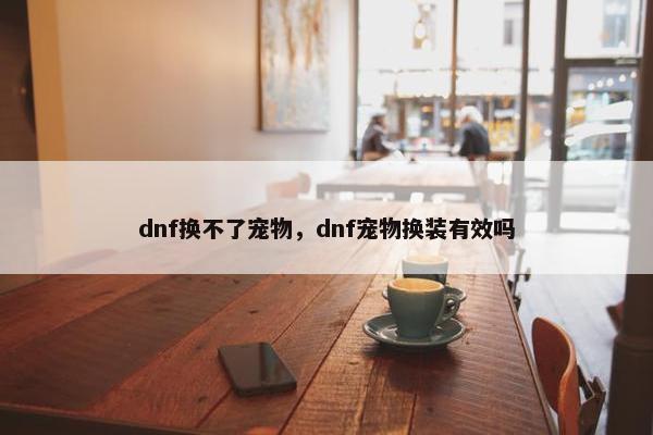 dnf换不了宠物，dnf宠物换装有效吗