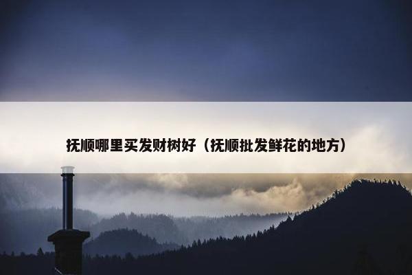 抚顺哪里买发财树好（抚顺批发鲜花的地方）