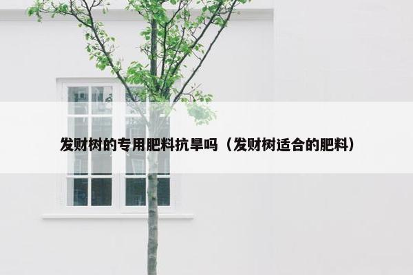 发财树的专用肥料抗旱吗（发财树适合的肥料）