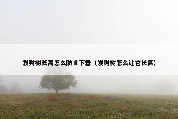 发财树长高怎么防止下垂（发财树怎么让它长高）