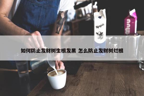 如何防止发财树生根发黑 怎么防止发财树烂根