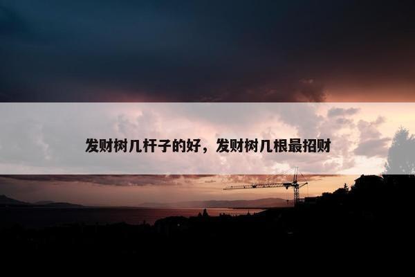 发财树几杆子的好，发财树几根最招财