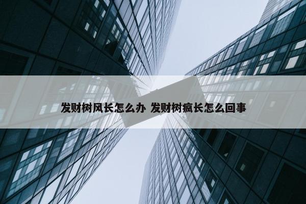 发财树风长怎么办 发财树疯长怎么回事