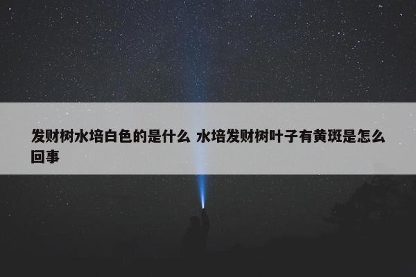 发财树水培白色的是什么 水培发财树叶子有黄斑是怎么回事