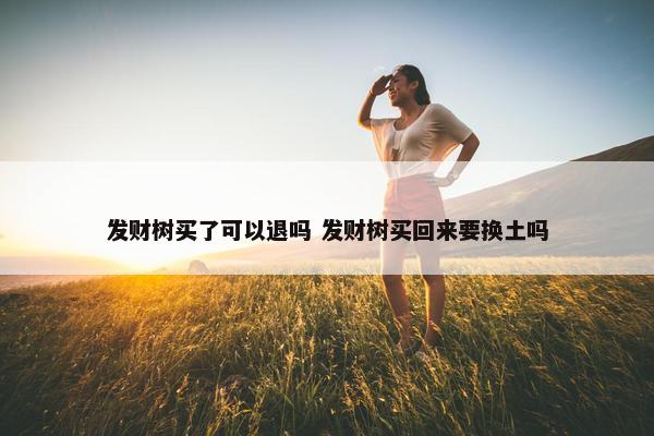 发财树买了可以退吗 发财树买回来要换土吗