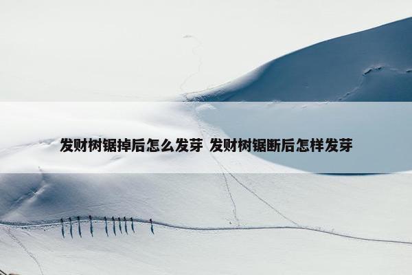 发财树锯掉后怎么发芽 发财树锯断后怎样发芽