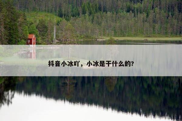 抖音小冰吖，小冰是干什么的?