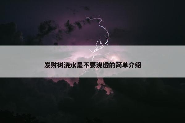 发财树浇水是不要浇透的简单介绍