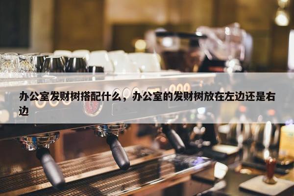 办公室发财树搭配什么，办公室的发财树放在左边还是右边