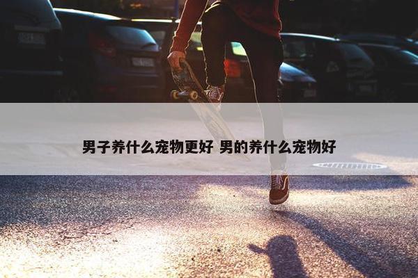 男子养什么宠物更好 男的养什么宠物好