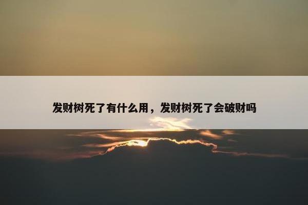 发财树死了有什么用，发财树死了会破财吗