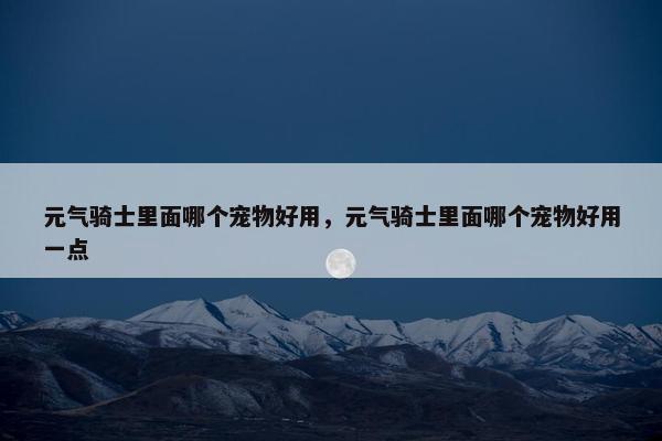 元气骑士里面哪个宠物好用，元气骑士里面哪个宠物好用一点