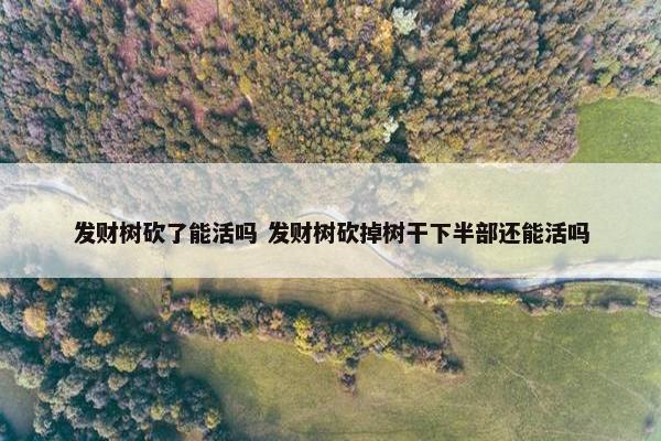 发财树砍了能活吗 发财树砍掉树干下半部还能活吗