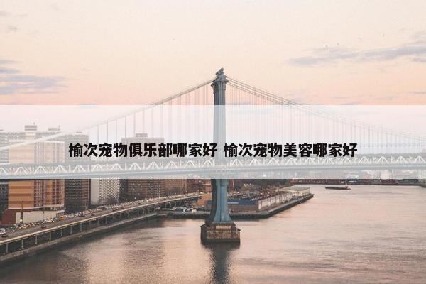 榆次宠物俱乐部哪家好 榆次宠物美容哪家好