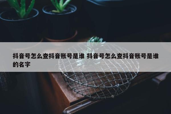 抖音号怎么查抖音账号是谁 抖音号怎么查抖音账号是谁的名字