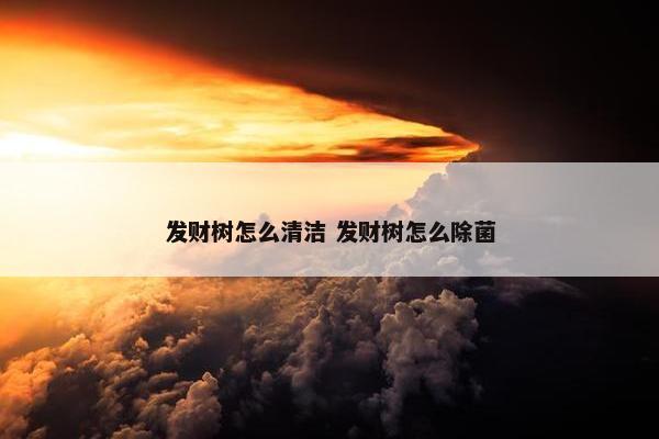 发财树怎么清洁 发财树怎么除菌