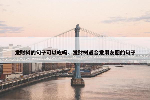 发财树的句子可以吃吗，发财树适合发朋友圈的句子