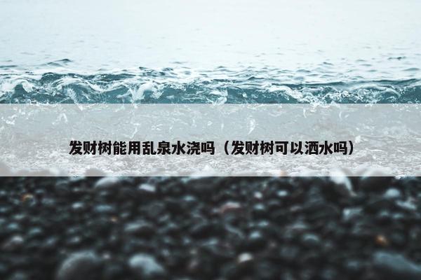 发财树能用乱泉水浇吗（发财树可以洒水吗）