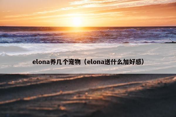 elona养几个宠物（elona送什么加好感）