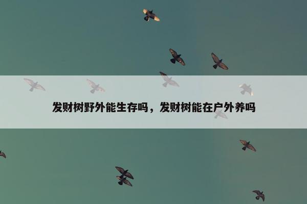 发财树野外能生存吗，发财树能在户外养吗