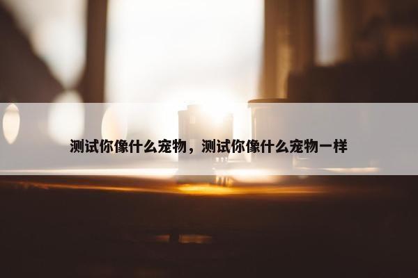 测试你像什么宠物，测试你像什么宠物一样