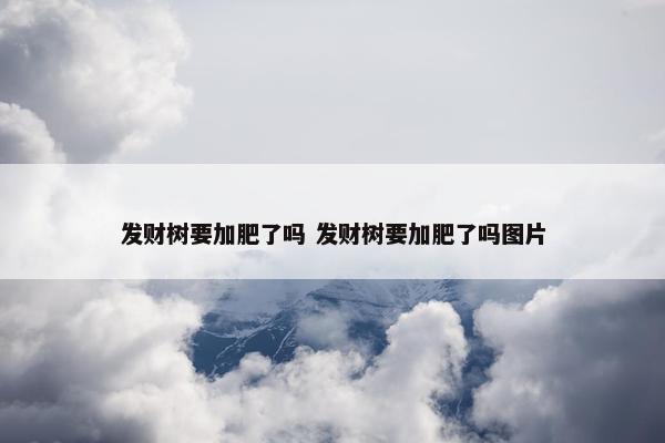 发财树要加肥了吗 发财树要加肥了吗图片