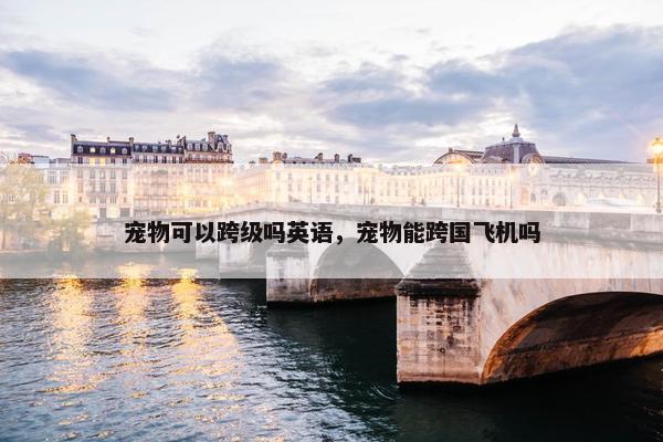 宠物可以跨级吗英语，宠物能跨国飞机吗