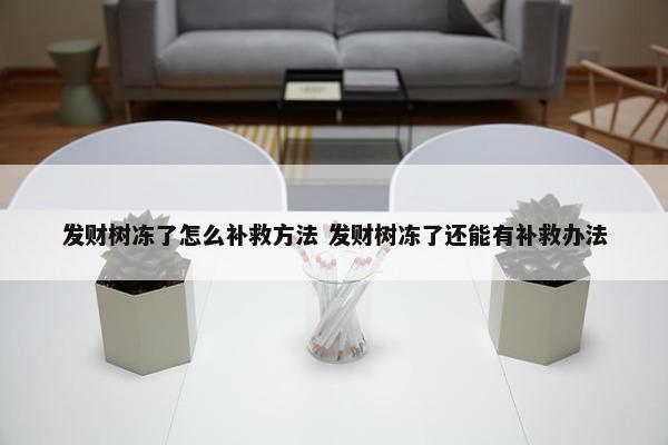 发财树冻了怎么补救方法 发财树冻了还能有补救办法