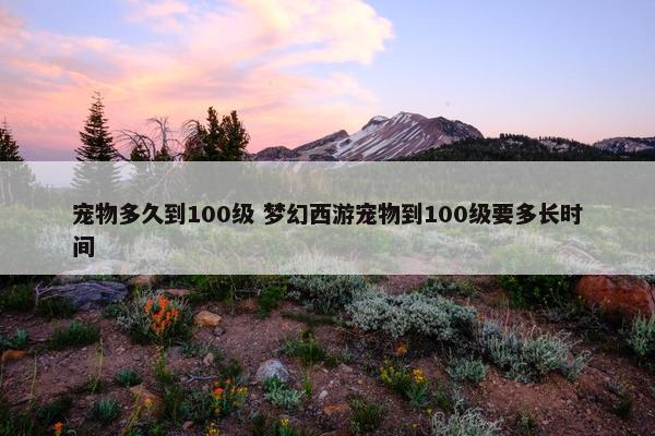 宠物多久到100级 梦幻西游宠物到100级要多长时间